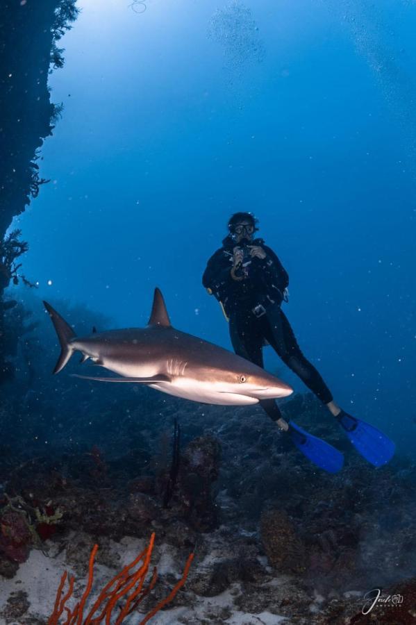 Posada Ocean Colors ร็อคกี้พอยท์ ภายนอก รูปภาพ