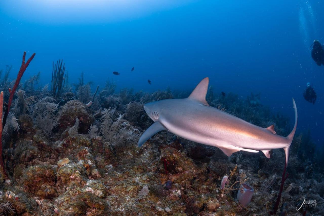 Posada Ocean Colors ร็อคกี้พอยท์ ภายนอก รูปภาพ