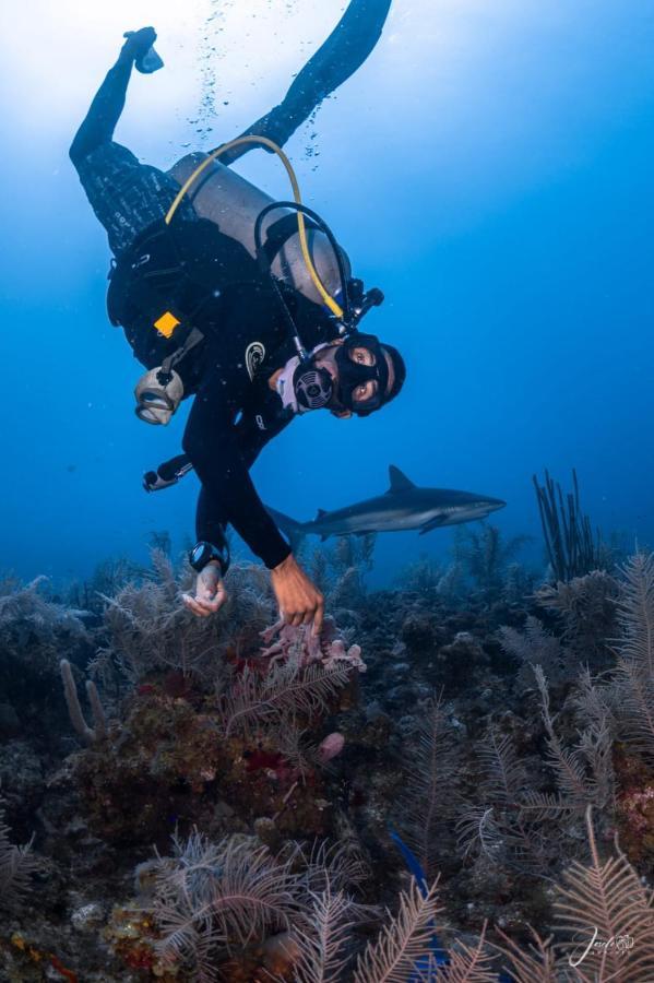 Posada Ocean Colors ร็อคกี้พอยท์ ภายนอก รูปภาพ