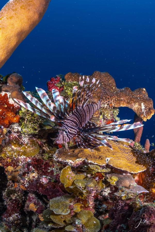 Posada Ocean Colors ร็อคกี้พอยท์ ภายนอก รูปภาพ